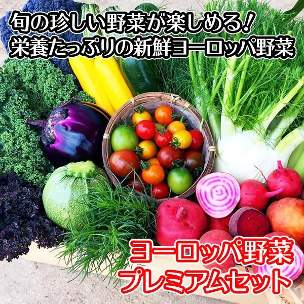 新鮮野菜 詰め合わせ 珍しい野菜 プレミアム 内祝い お返し ヨーロッパ野菜 セット ギフト お取り寄せグルメ 産地直送 プレゼント｜snowland｜02