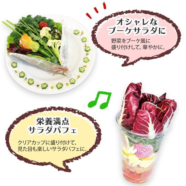 新鮮野菜 詰め合わせ 珍しい野菜 プレミアム ヨーロッパ野菜 セット ギフト お取り寄せグルメ 産地直送 プレゼント 北海道市場 北国からの贈り物 通販 Yahoo ショッピング