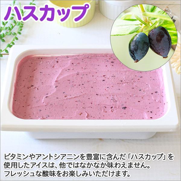 北国からの贈り物 (年内発送〆12/22(月)午前中迄)ハスカップ