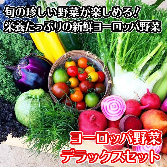 新鮮野菜 詰め合わせ 珍しい野菜 デラックス ヨーロッパ野菜 セット ギフト お取り寄せグルメ 送料無 プレゼント 食べ物 産地直送｜snowland｜02