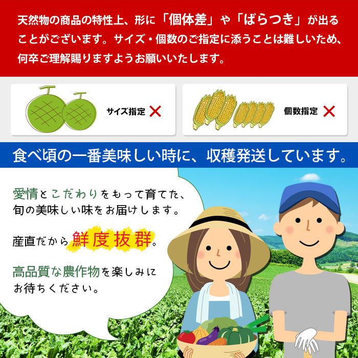 メロン 北海道 アサヒメロン 計2.6kg前後 優品or秀品 2玉 赤肉 マスクメロン ギフト 5月下旬-9月末｜snowland｜10