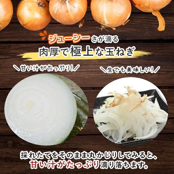 射手矢農園 泉州 玉ねぎ 9kg たまねぎ タマネギ 玉葱 甘い 玉ねぎ お取り寄せ グルメ 食品 野菜 5月中 6月上旬 1081 北海道市場 北国からの贈り物 通販 Yahoo ショッピング