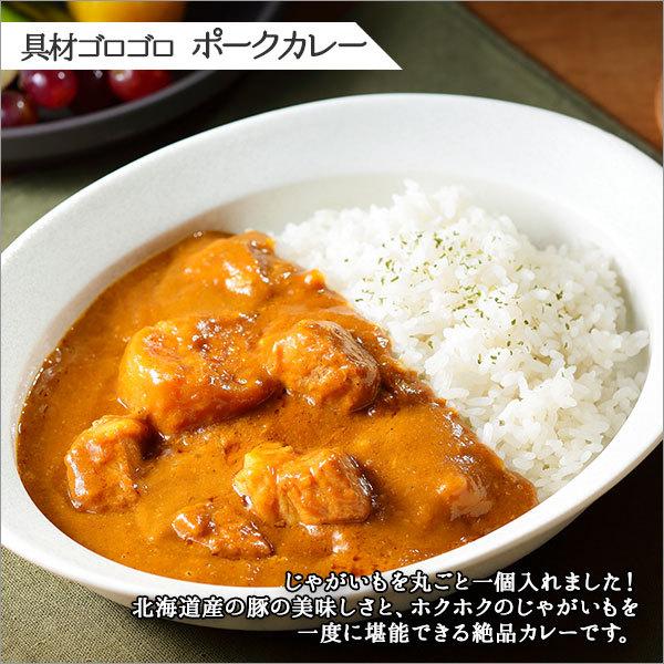 スープカレー レトルトカレー 4食セット 北海道 お取り寄せ グルメ ギフト ご当地カレー 業務用｜snowland｜04