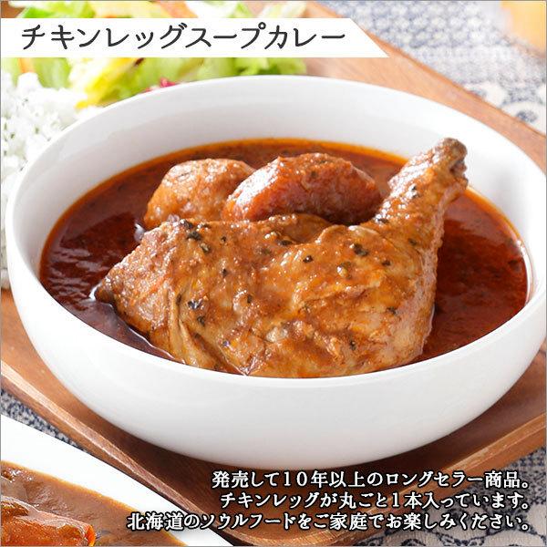 スープカレー レトルトカレー 20食セット 北海道 お取り寄せ グルメ ギフト ご当地カレー 食べ物 業務用｜snowland｜02