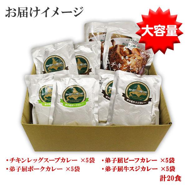 敬老の日 スープカレー レトルトカレー 食セット 北海道 お取り寄せ グルメ ギフト ご当地カレー 残暑見舞い 食べ物 業務用 北海道市場 北国からの贈り物 通販 Yahoo ショッピング