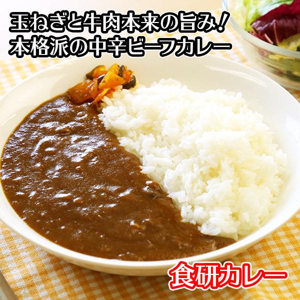 食研カレー 1kg x12袋 業務用 レトルト カレー まとめ買い 内祝い お返し 食品 お取り寄せ グルメ ギフト プレゼント 食べ物｜snowland｜02