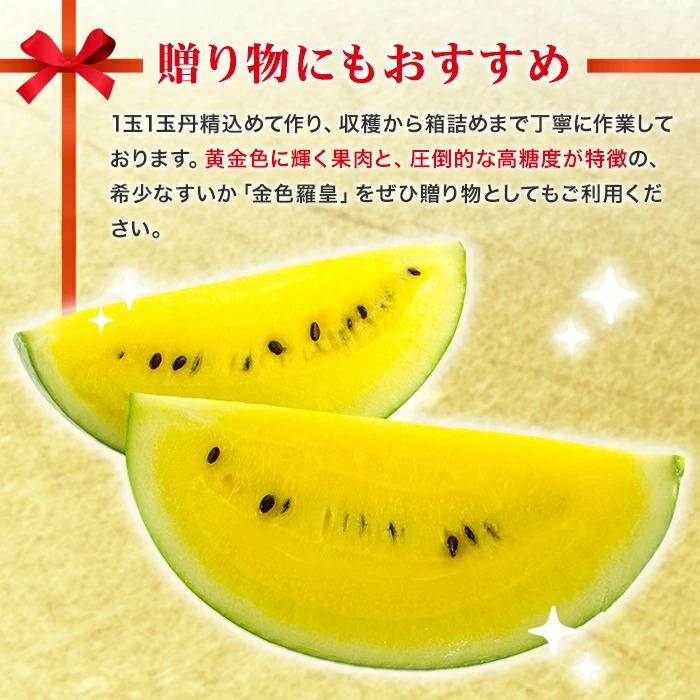 北国からの贈り物 糖度15度前後 北海道産 金色羅皇 2Lサイズ以上 1玉