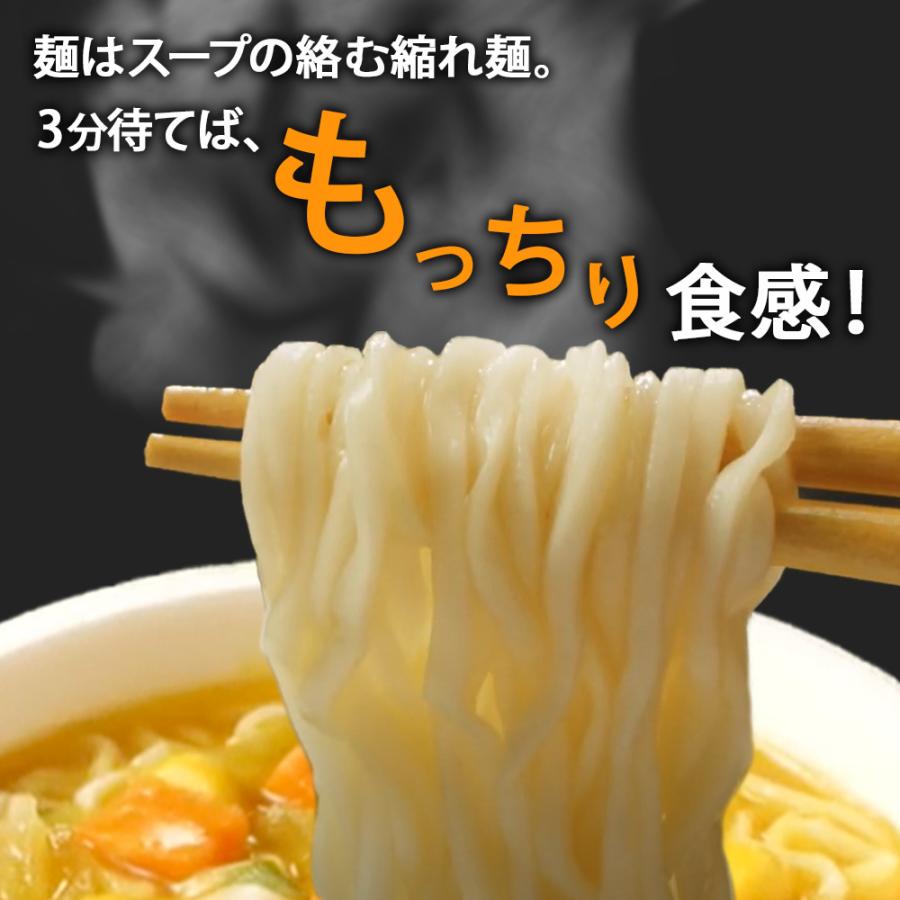 北国からの贈り物 ハラル認証 カップラーメン ビーガン 食品 カレー 6