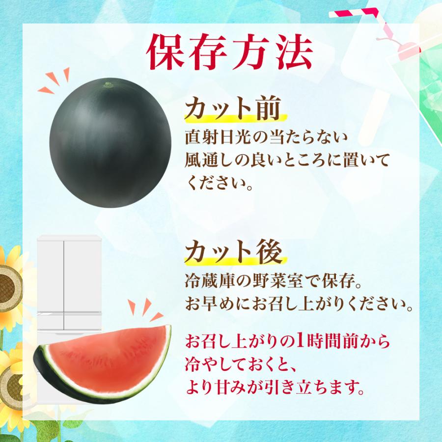 北国からの贈り物 すいか ブラックジャック 高糖度13度前後 北海道産