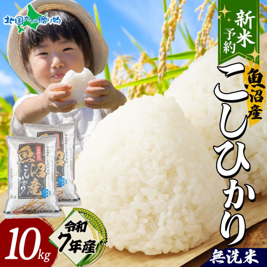 北国からの贈り物 無洗米 令和7年産 新潟県 魚沼産 コシヒカリ