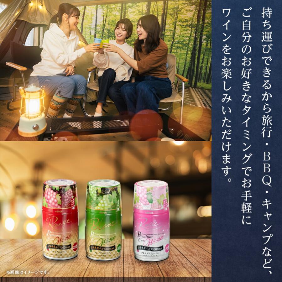 北国からの贈り物 プレミアム缶ワイン ロゼスパークリング 290ml 24本