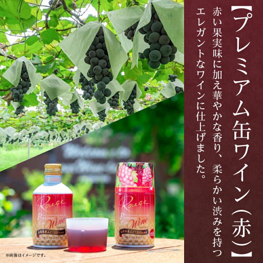 【未開封】スパークリングワイン 12本セット 辛口・ロゼ・金賞受賞酒 飲み比べ② 北国からの贈り物 プレミアム缶ワイン 赤 ロゼスパークリング 飲み比べ