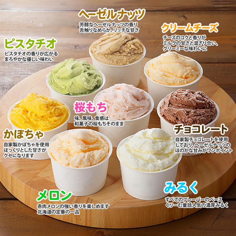 北国からの贈り物 北海道 アイスクリーム ジェラート 厳選プレミアム