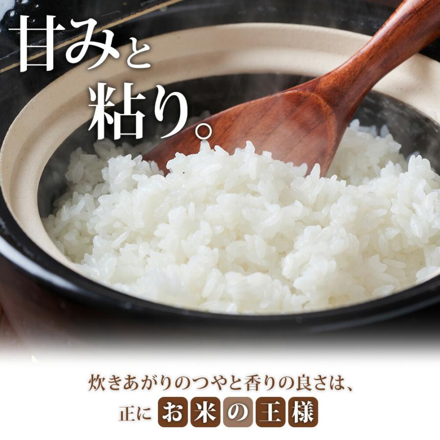 コシヒカリ (令和7年産)南魚沼産 計10kg 特A こしひかり 新潟産 新潟県