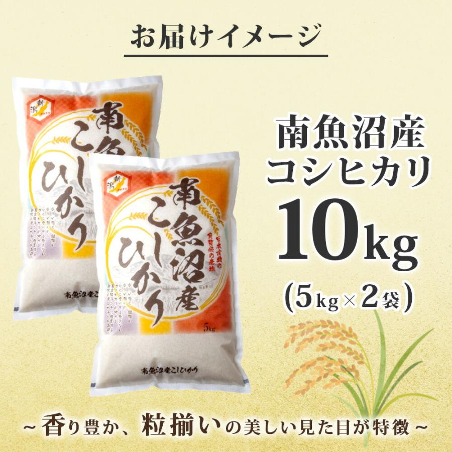 コシヒカリ (令和7年産)南魚沼産 計10kg 特A こしひかり 新潟産 新潟県