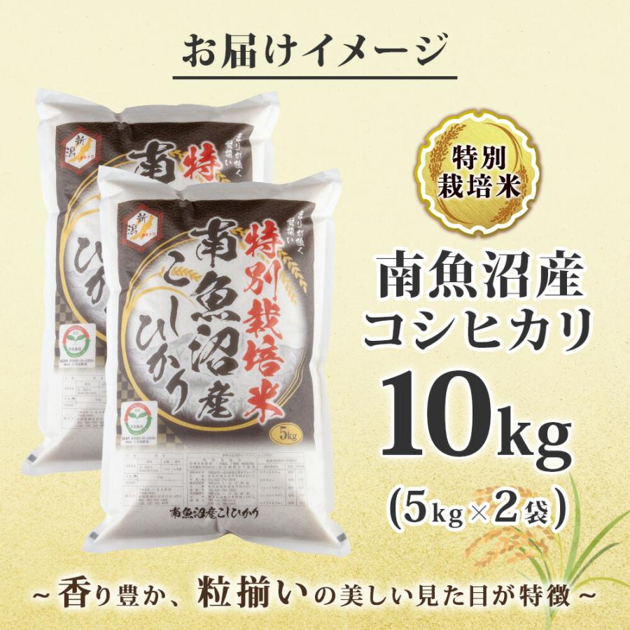 コシヒカリ (令和8年産)南魚沼産 計10kg 特A 特別栽培米 こしひかり