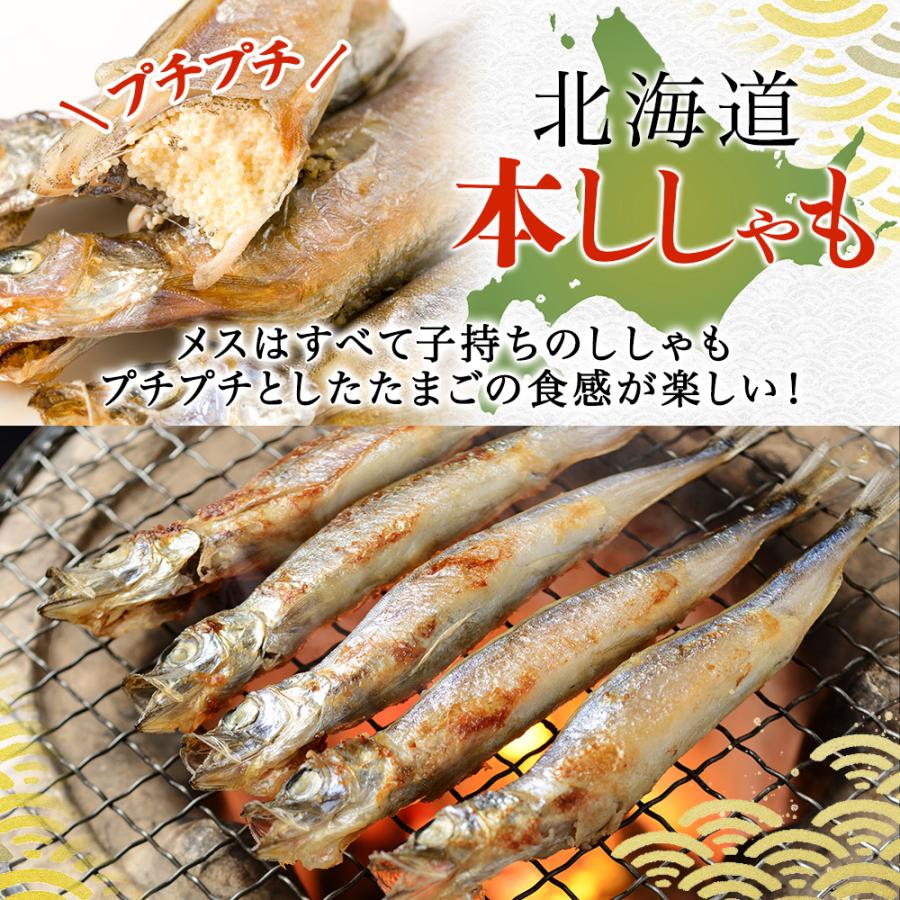 北国からの贈り物 本ししゃも 北海道産 オス メス各15尾 計30尾 ギフト