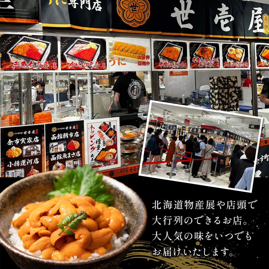 ウニ 北海道産 80g 幸雲丹 うに専門店 世壱屋 うに 国産 ムラサキウニ 母の日 父の日 幸福雲丹 紫雲丹 海鮮