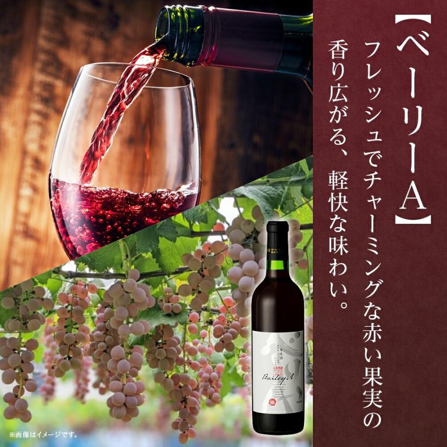 北国からの贈り物 甲州辛口 ベーリーA 2本セット 720ml モンデ酒造
