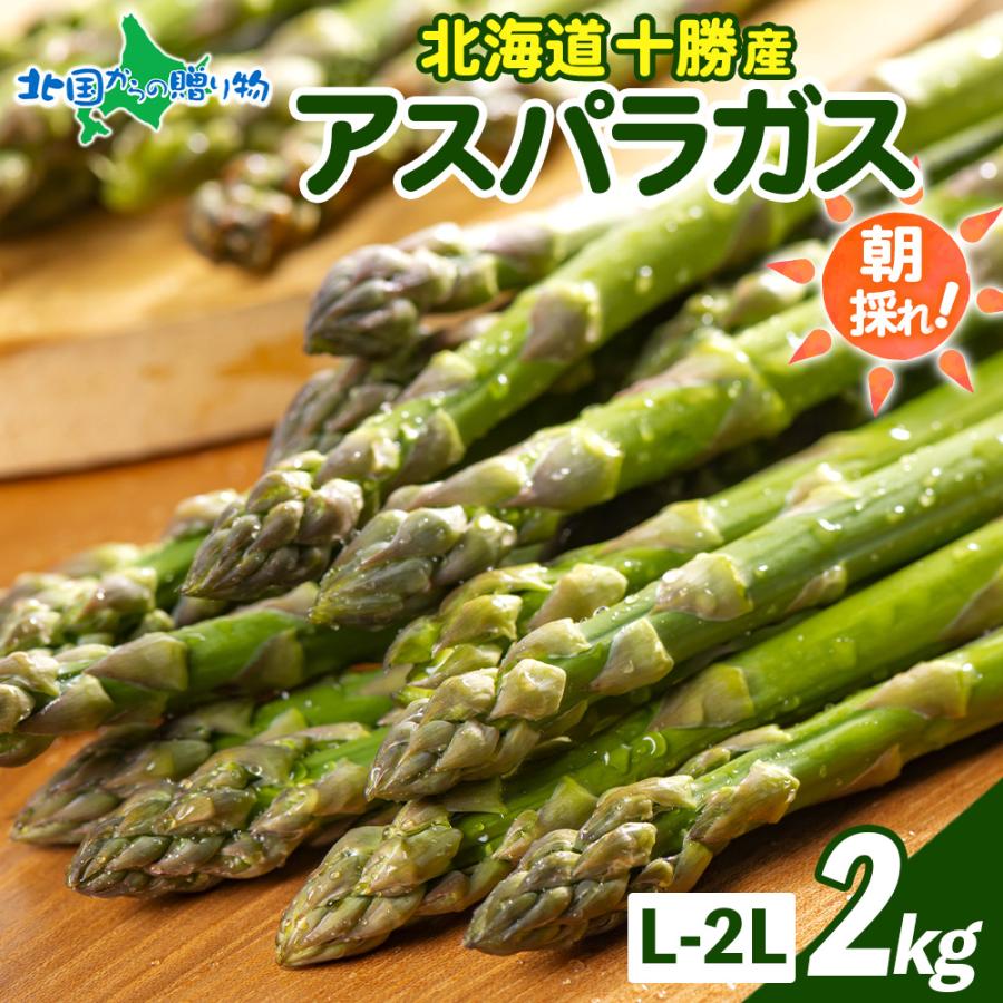 北国からの贈り物 (5月下旬-6月中旬) 北海道産 グリーンアスパラガス L