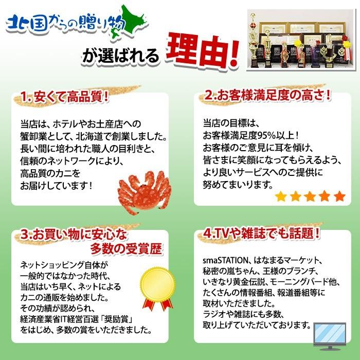 紅ズワイ棒ポーション500g チリ産雲丹100g セット 蟹 ズワイガニ かに カニ ずわい蟹 紅ずわい うに 生ウニ 海鮮 ギフトの画像