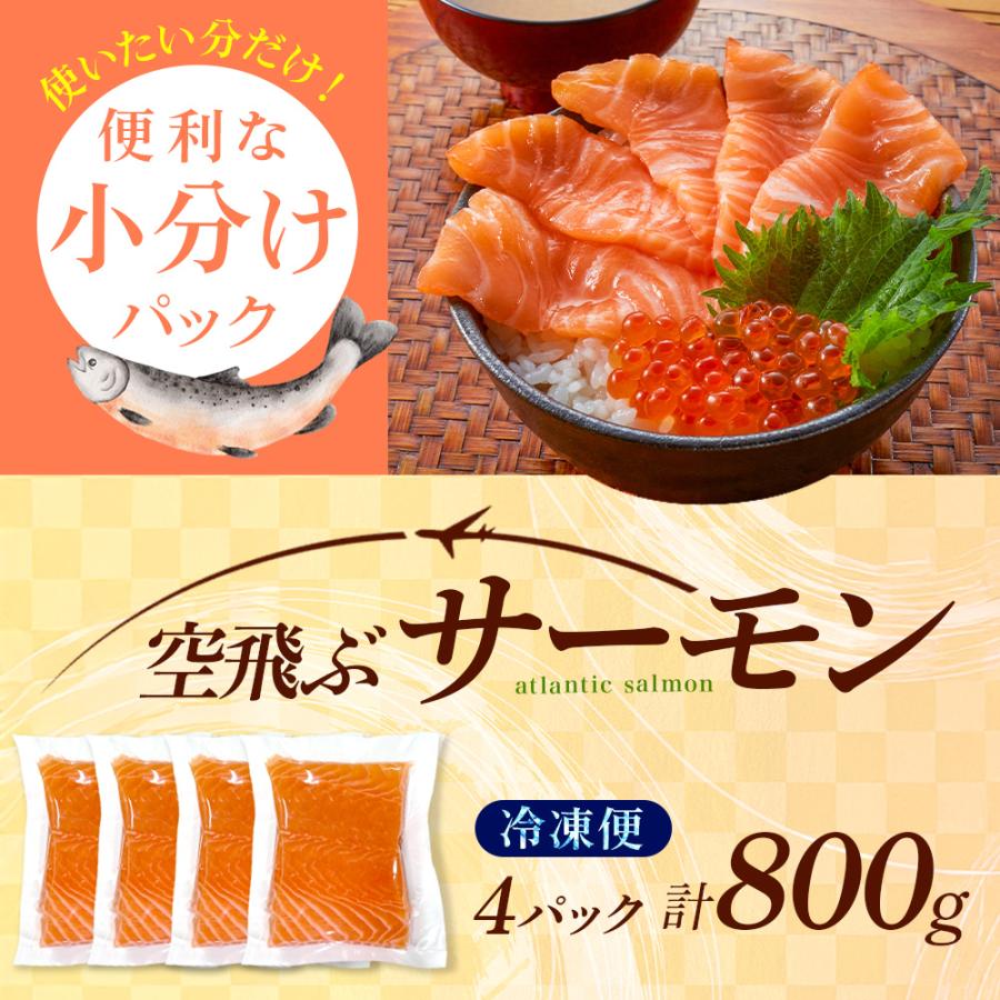 北国からの贈り物 サーモン 800g ギフト 食べ物 空飛ぶサーモン 刺身