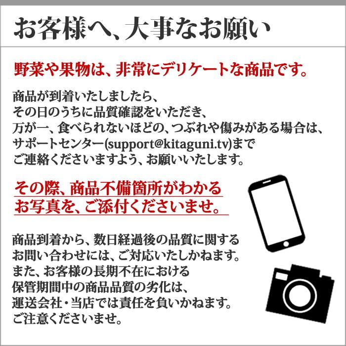 柿 刀根柿 たねなし柿 福島 秀品 計3.5kg たねなし ギフト プレゼント 食べ物 果物 旬 フルーツ｜snowland｜09