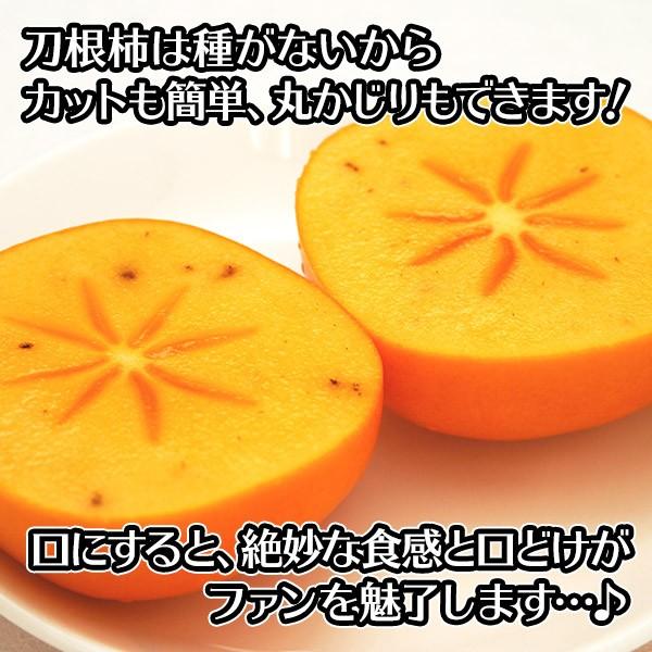 柿 刀根柿 たねなし柿 福島 秀品 計3.5kg たねなし ギフト プレゼント 食べ物 果物 旬 フルーツ｜snowland｜04