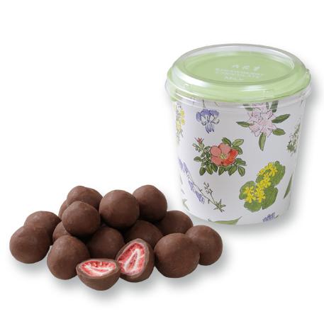 ストロベリーチョコ ミルク 箱入 130ｇ 六花亭 新製品情報も満載