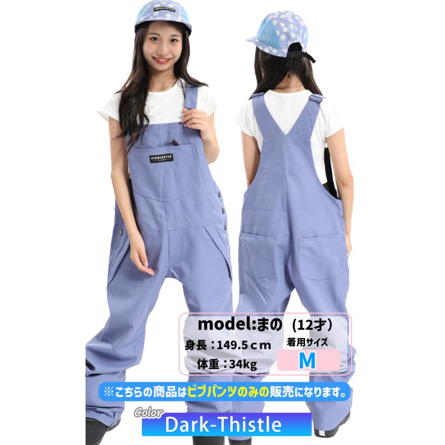 24-25 AIRBLASTER エアーブラスター スノーボードウェア レディース