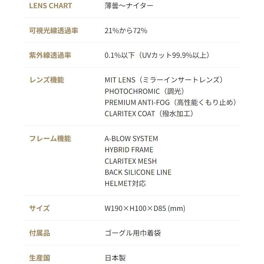 DICE（ダイス） 2025 DICE BANK バンク スノーボード ゴーグル BK45194