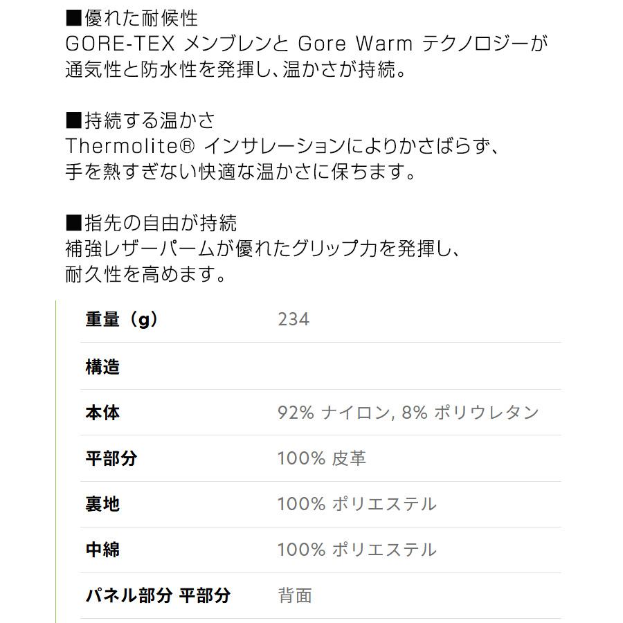 SALOMON（サロモン） 2026 SALOMON PROPELLER MITTEN GORE-TEX