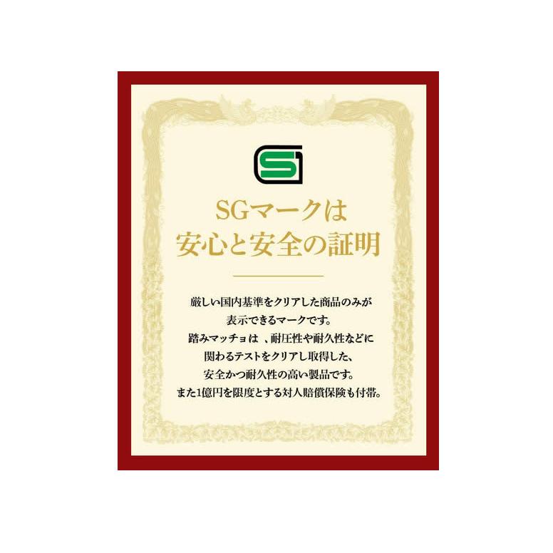 空気入れ 自転車 バイク シングルポンプブラック 　1年保証 収納便利なクリアケース付き SG規格 英式 米式｜snowydrivingg｜10