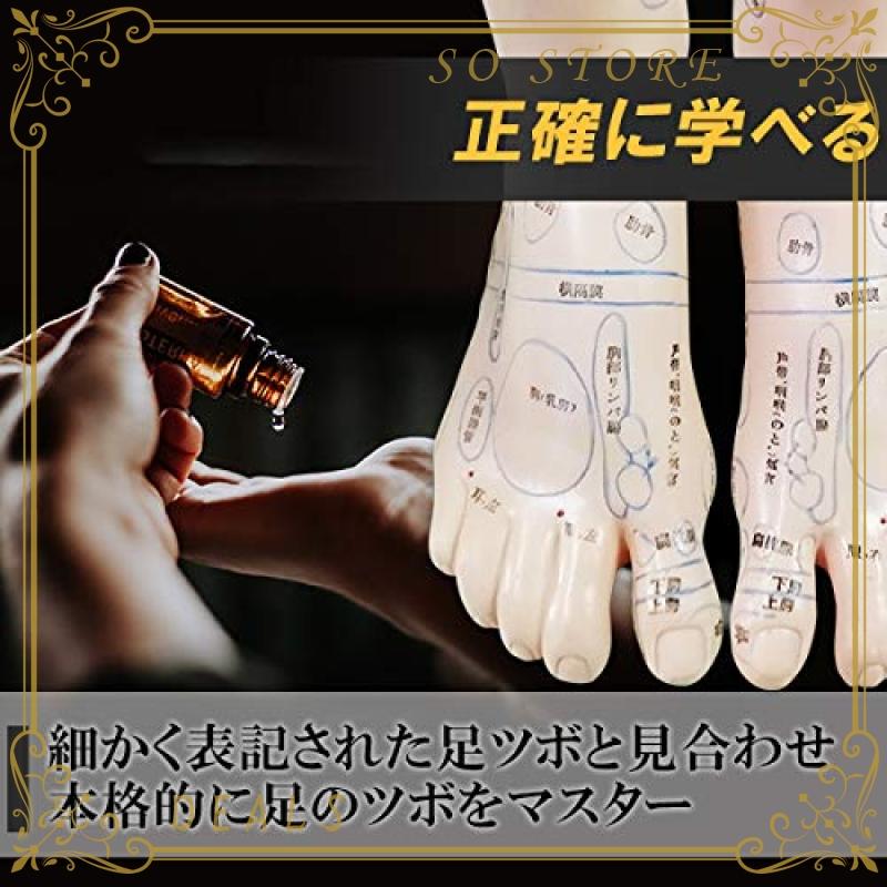 フェリモア 足 つぼ 模型 立体 体系的 足裏 甲 足首 足裏マッサージ 位置確認 足つぼ 左右セット Yjd So Store 通販 Yahoo ショッピング