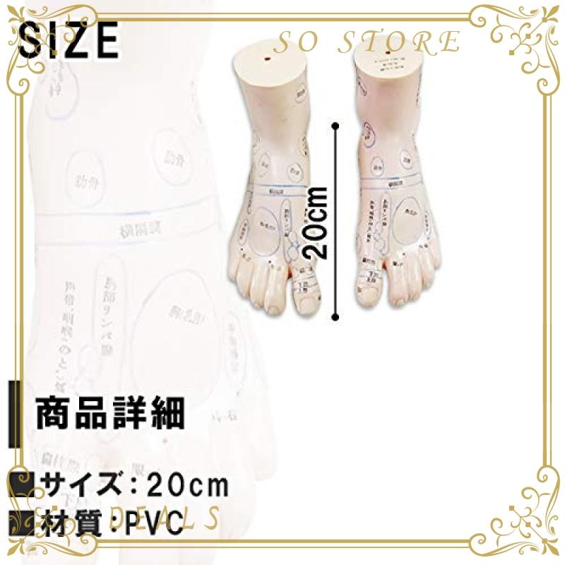 フェリモア 足 つぼ 模型 立体 体系的 足裏 甲 足首 足裏マッサージ 位置確認 足つぼ 左右セット Yjd So Store 通販 Yahoo ショッピング