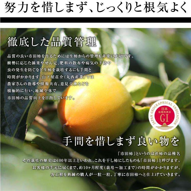 62【長野県産】市田柿(干し柿)約 170g 30パック 【公式通販】