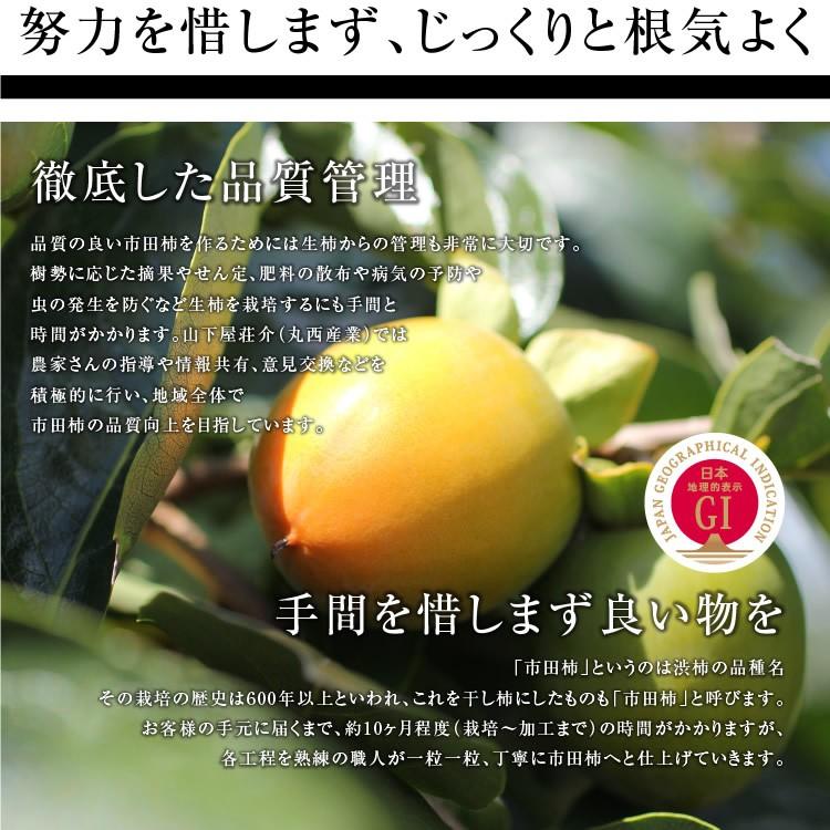 遅れてごめんね 母の日 ギフト 干し柿 市田柿 極 花セット 2Lサイズ 12個入 冷凍  贈答品 プレゼント あすつく お菓子 果物 フルーツ 産地直送 GIマーク認証｜so-suke｜13