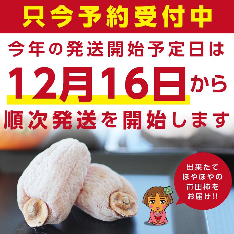 山下屋荘介 【予約】御歳暮 ギフト 干し柿 市田柿 極 2Lサイズ 12個入