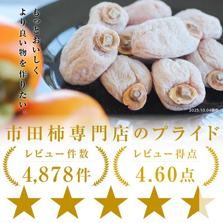 山下屋荘介 【予約】 干し柿 市田柿 500g 2025年産 ご自宅用 送料無料