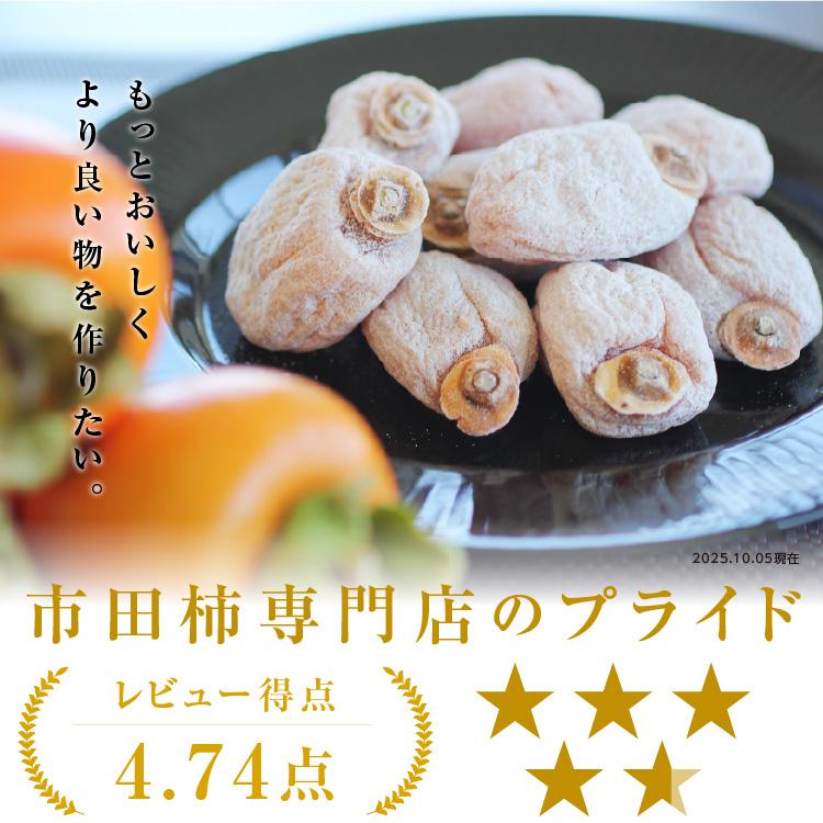 山下屋荘介 【即日出荷】ギフト 市田柿 化粧箱 贈答用 700g 送料無料