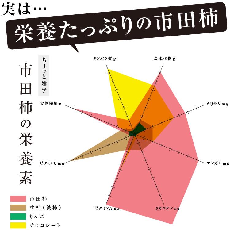 干し柿 市田柿 3kg 500g×6袋 長野産 国産 ドライフルーツ 柿 干柿 ご