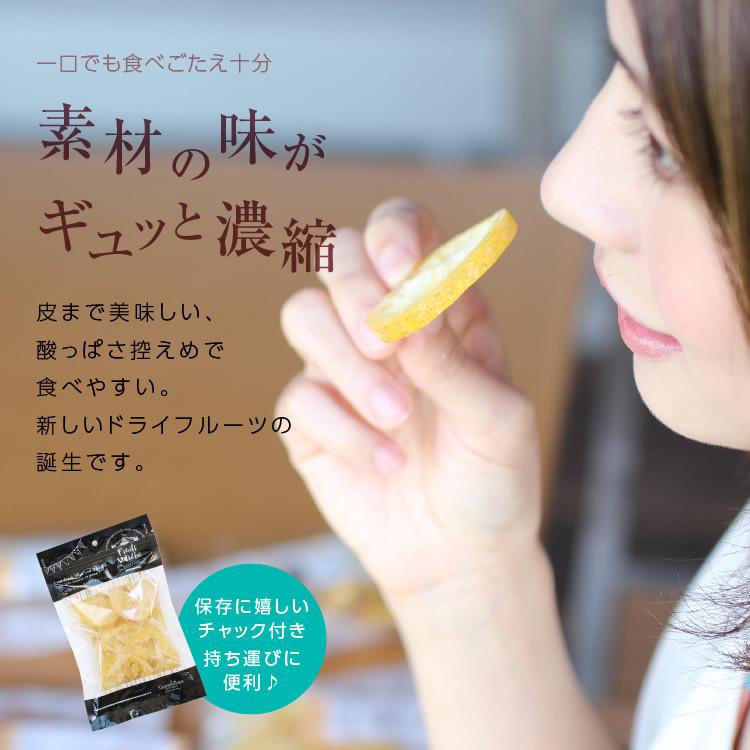 ドライフルーツ 国産 レモン 大袋 105g 送料無料 輪切り 皮まで美味しい 酸味控えめ ポイント消化 ドライレモン 南信州菓子工房 ギフト ヨーグルトに｜so-suke｜17