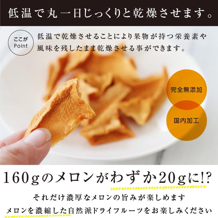 ドライフルーツ（種類：メロン）｜フルーツ｜食品 通販 - Yahoo!ショッピング