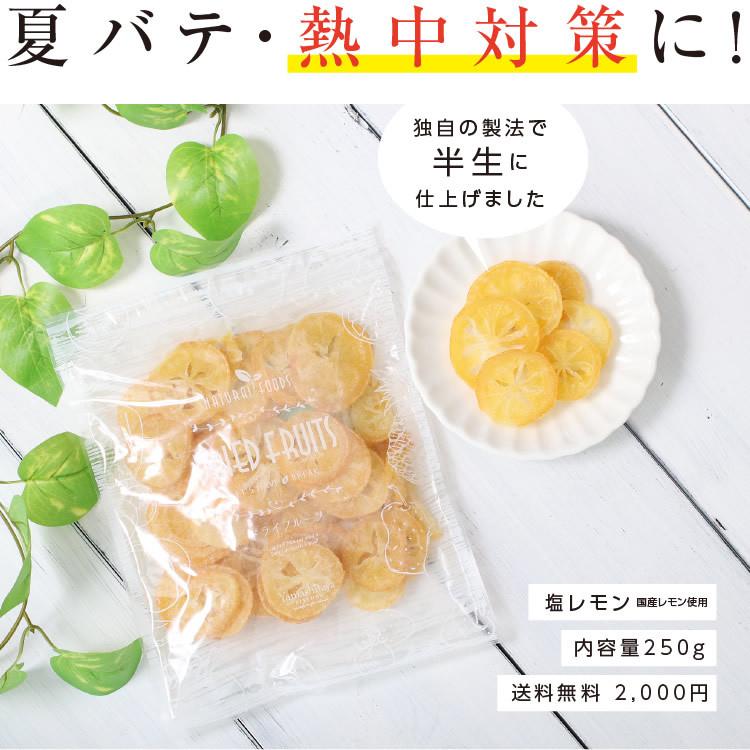 ドライフルーツ 塩レモン 250g 送料無料 輪切り 熱中症 対策 予防 ドライ 塩 レモン おやつ 南信州菓子工房 お菓子作りにも 0097 市田柿専門店 山下屋荘介 Yahoo 店 通販 Yahoo ショッピング