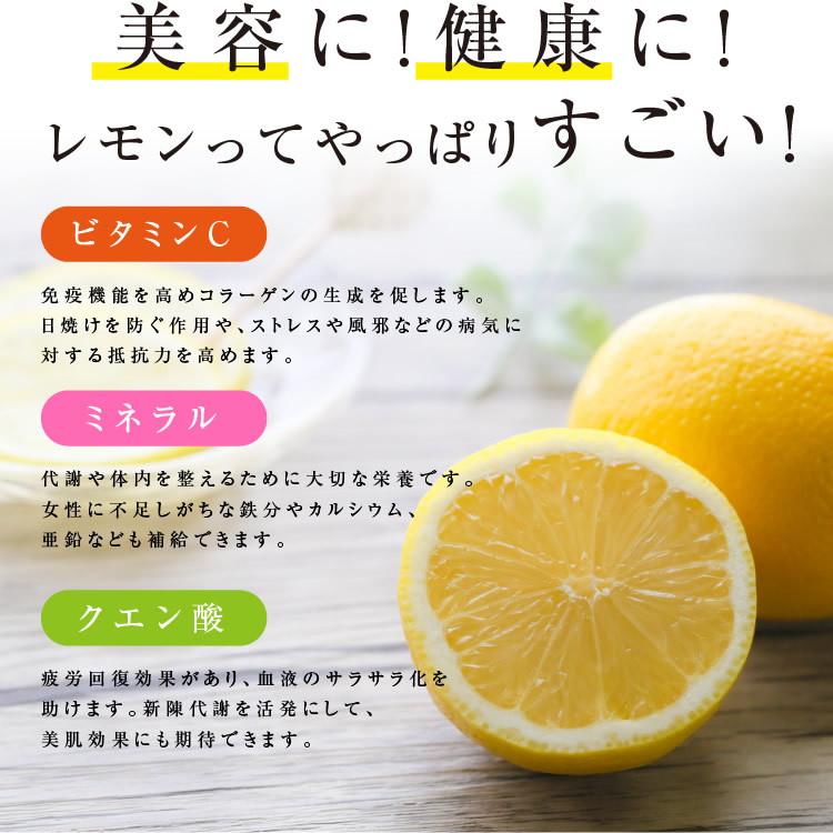 ドライフルーツ 塩レモン 250g 送料無料 輪切り 熱中症 対策 予防 ドライ 塩 レモン おやつ 南信州菓子工房 お菓子作りにも 0097 市田柿専門店 山下屋荘介 Yahoo 店 通販 Yahoo ショッピング