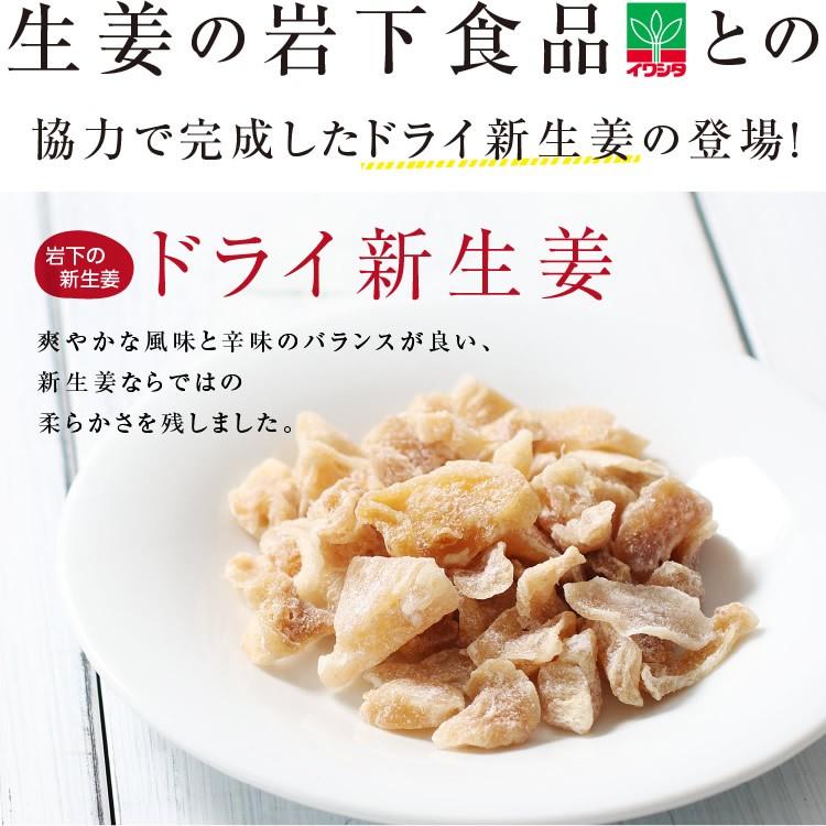 ドライフルーツ 岩下の新生姜 250g 送料無料 生姜 ドライ生姜 生姜糖 しょうが ショウガ ジンゲロール ショウガオール 南信州菓子工房 生姜茶 生姜紅茶に 山下屋荘介 通販 Paypayモール