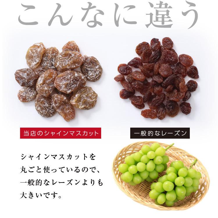 山下屋荘介 ドライフルーツ シャインマスカット 90g 国産レーズン 干し