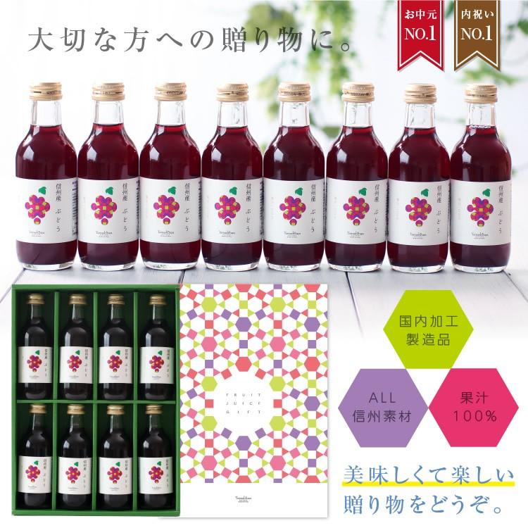 ぶどうジュースたけし ぶどうジュース 100パーセント ストレート デラウェア 500ml×2本
