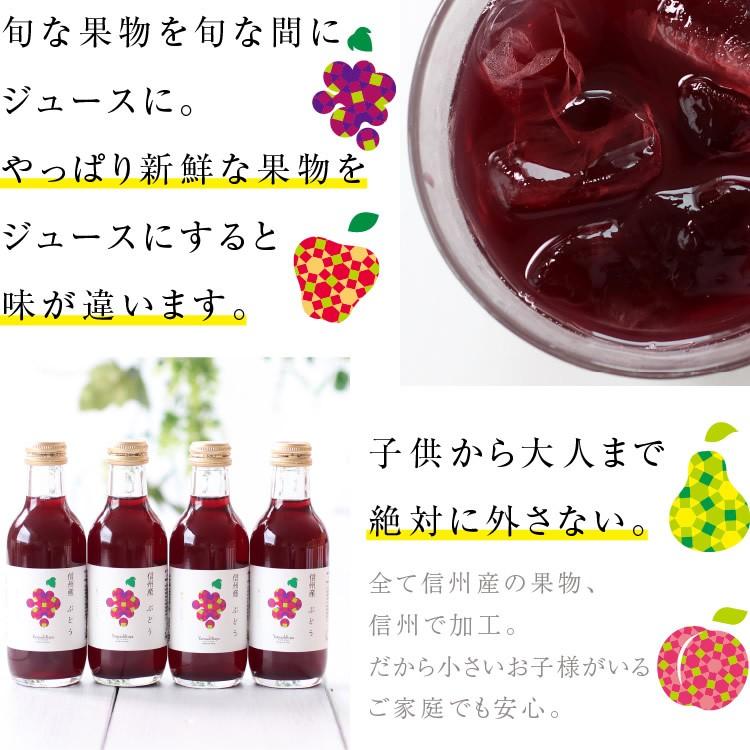 ぶどうジュースたけし ぶどうジュース 100パーセント ストレート デラウェア 500ml×2本