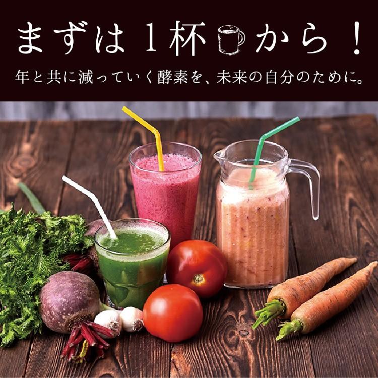 酵素 サプリメント 私の酵素 送料無料 国産酵素 難消化性デキストリン 乳酸菌 ダイエット 健康 酵素 粉末酵素 | ブランド登録なし | 06